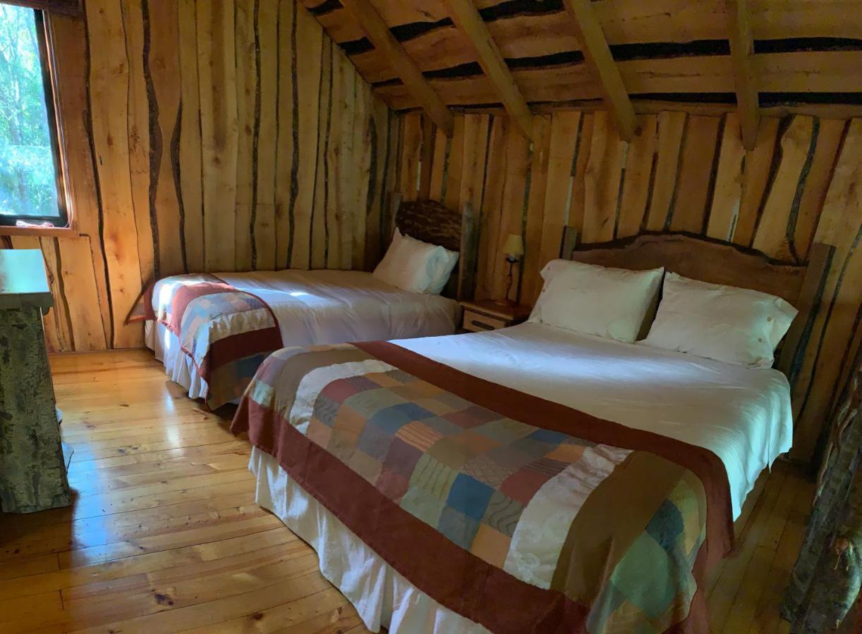 Cabanas Natural Park Lodge Pucón Eksteriør billede
