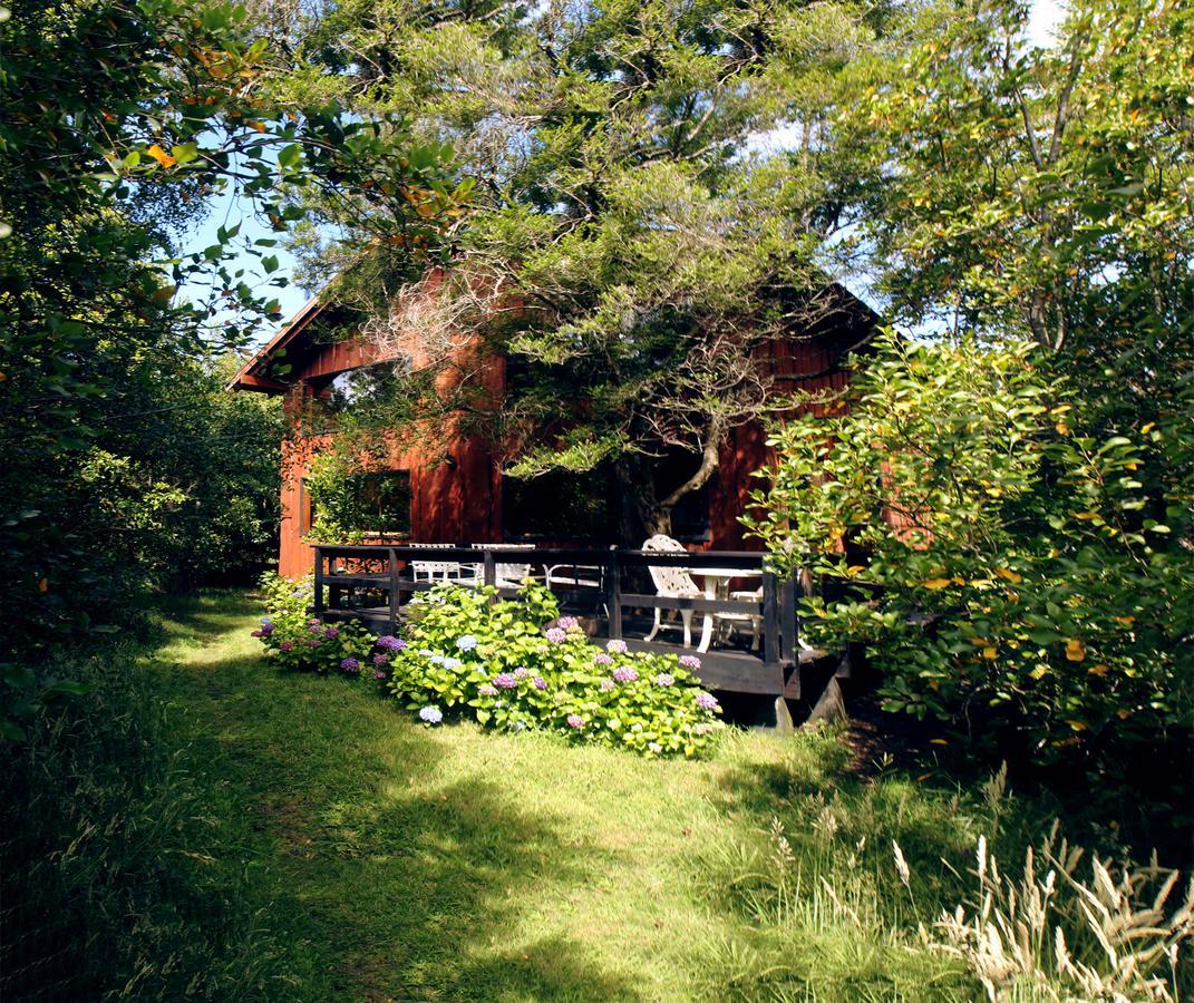 Cabanas Natural Park Lodge Pucón Eksteriør billede