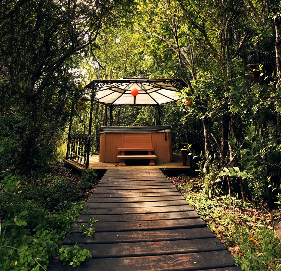 Cabanas Natural Park Lodge Pucón Eksteriør billede